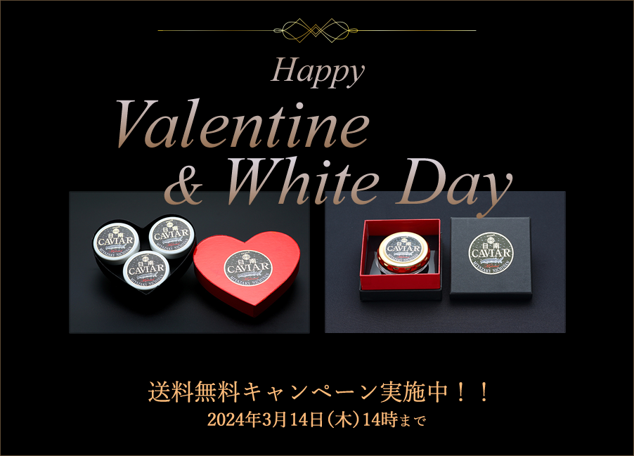 Happy Valentine & White Day 送料無料キャンペーン実施中!! 2024年3月14日（木）14時まで