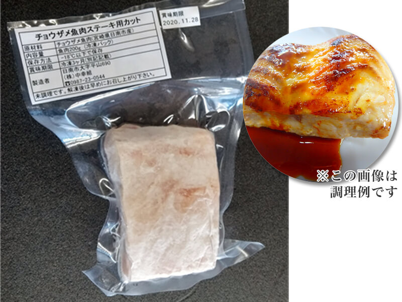 NCF-04-08